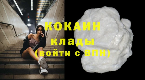 ПСИЛОЦИБИНОВЫЕ ГРИБЫ Няндома
