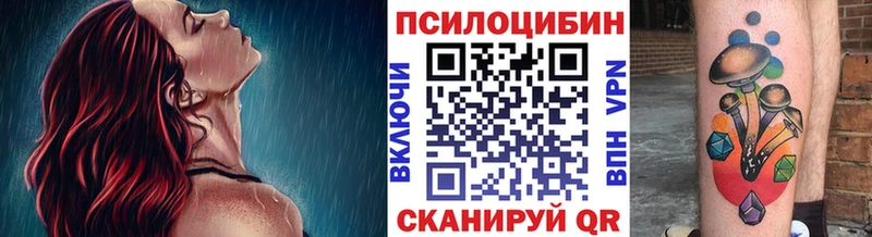 Галлюциногенные грибы мицелий  Петровск-Забайкальский 
